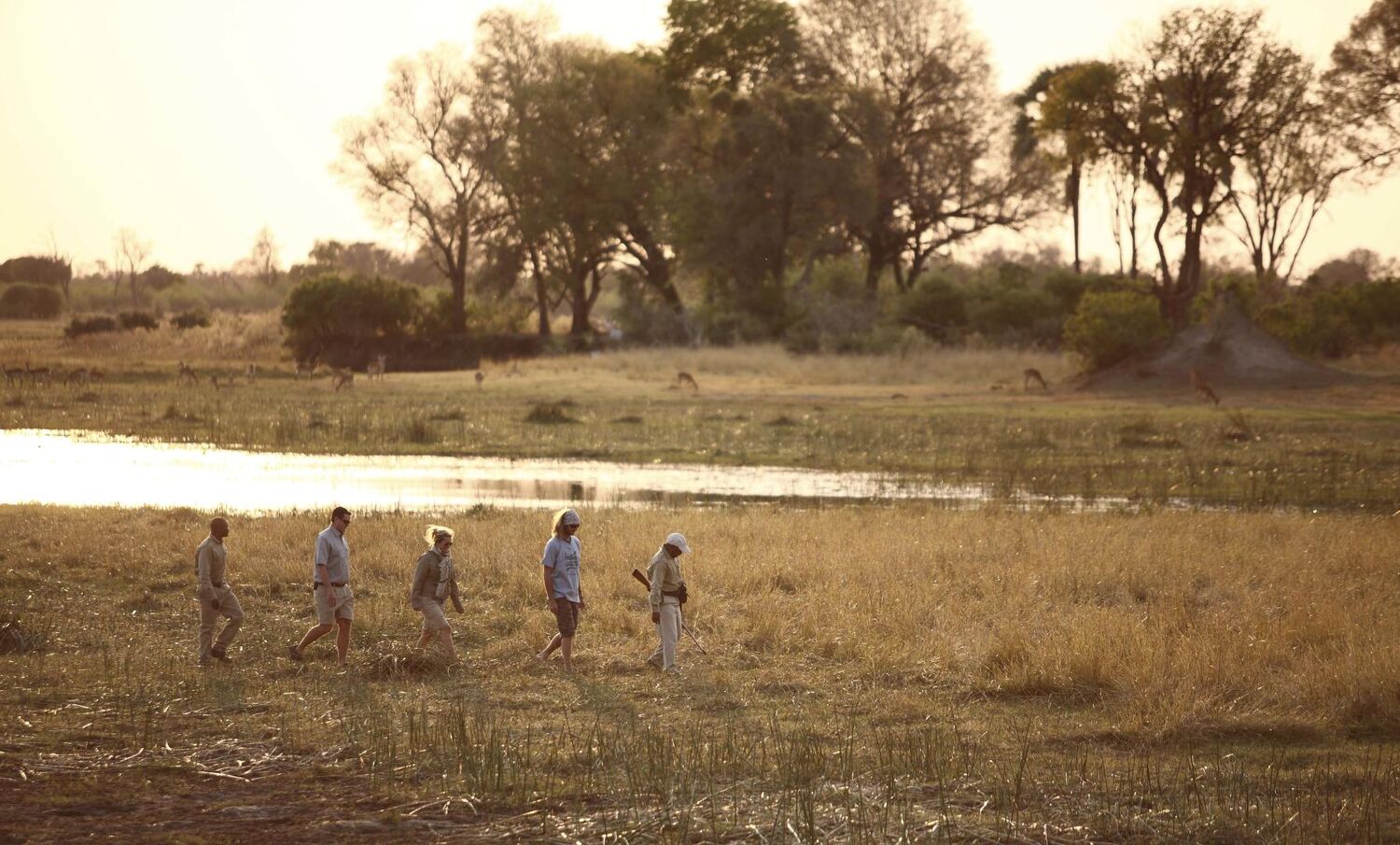 PlaceholderImage1302